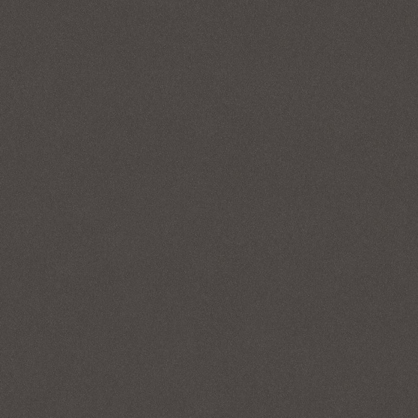 Vliesová tapeta na zeď, grafitová černá, 7589, Pigment, Borastapeter