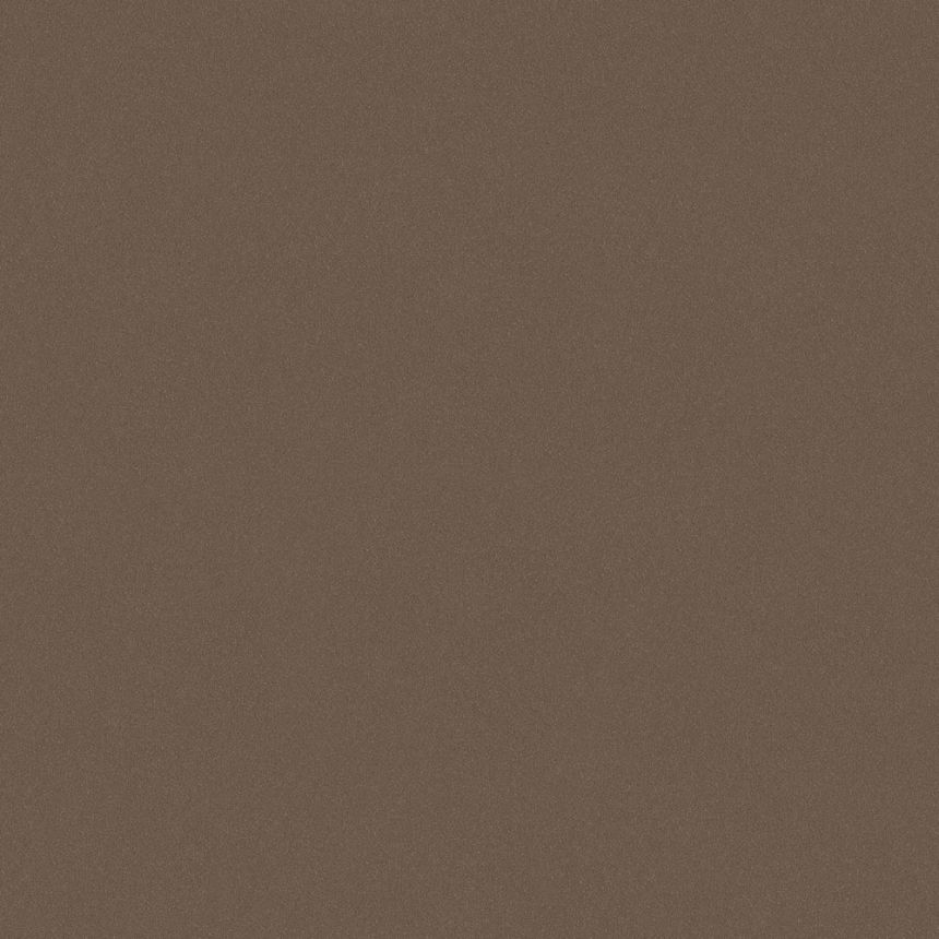 Vliesová tapeta na zeď, hliněná hnědá, 7590, Pigment, Borastapeter