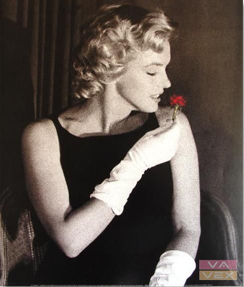 Plakát 7872, Fotografie Marilyn Monroe, rozměr 60 x 50 cm