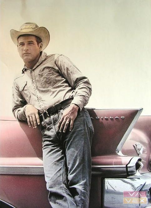 Plakát 3212, Paul Newman, rozměr 98 x 68 cm