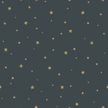 Šedomodrá vliesová tapeta se zlatými hvězdičkami 139261, Forest Friends, Esta