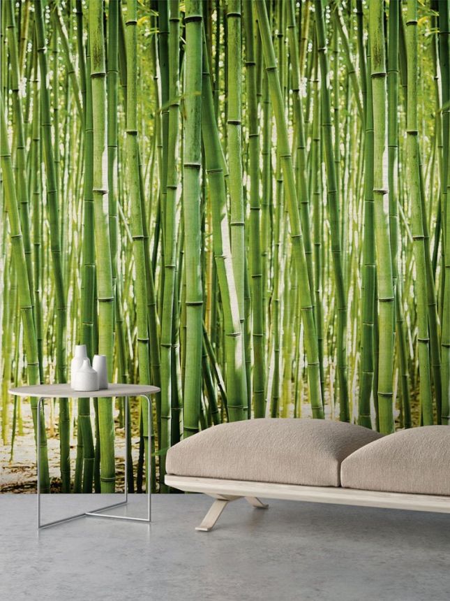 Vliesová obrazová tapeta Bambus A36901, 159 x 280 cm, One roll, Murals, Grandeco