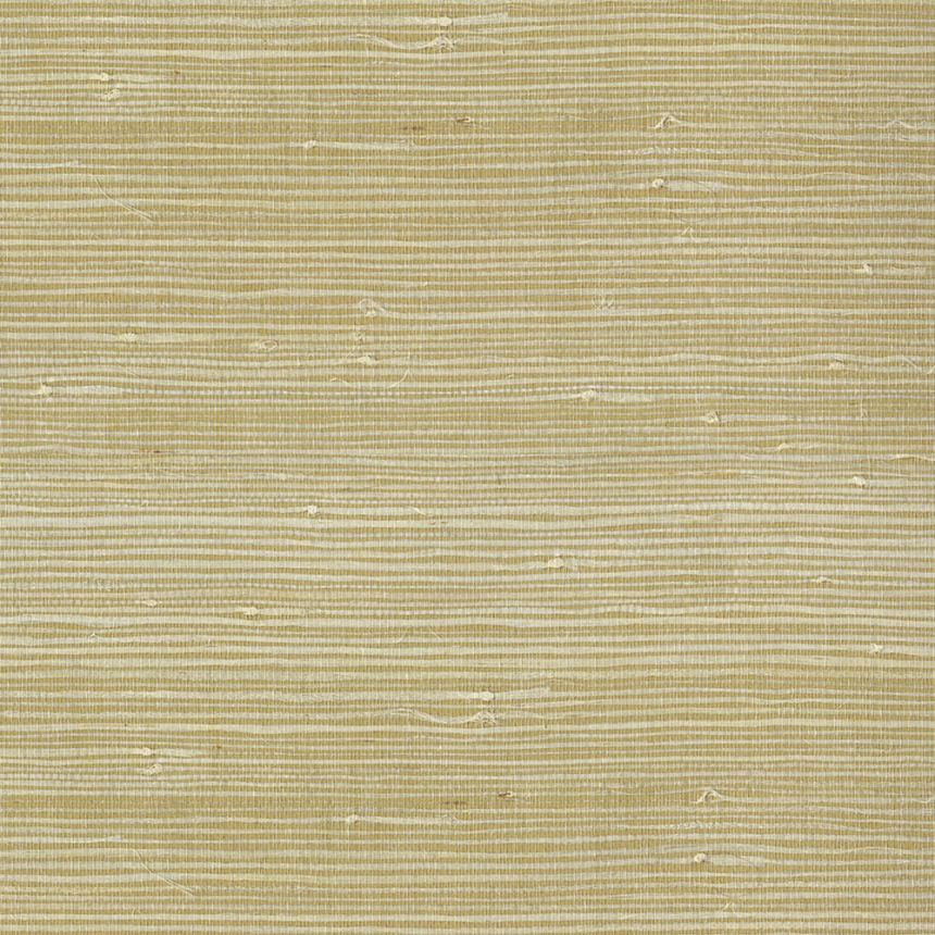 Přírodní tapeta / rohož na zeď 303560, Natural Wallcoverings III, Eijffinger