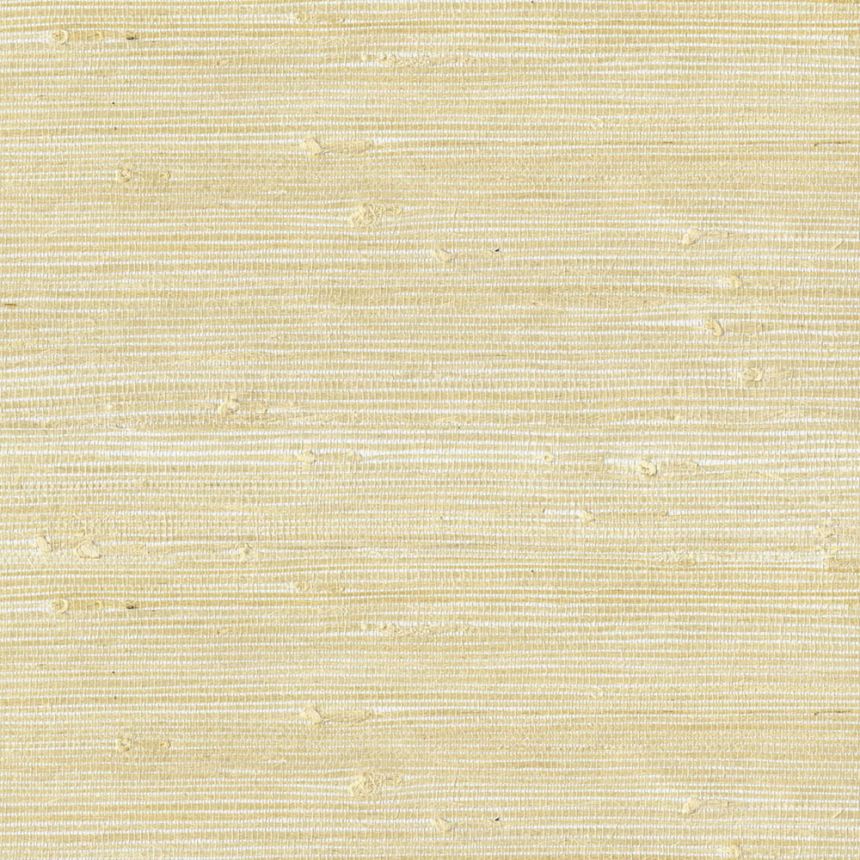 Přírodní tapeta / rohož na zeď 303554, Natural Wallcoverings III, Eijffinger