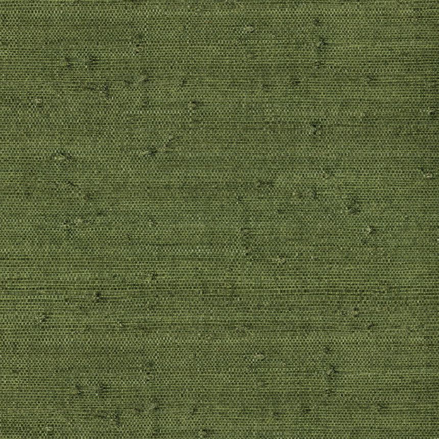 Přírodní tapeta na zeď zelená 303514, Natural Wallcoverings III, Eijffinger