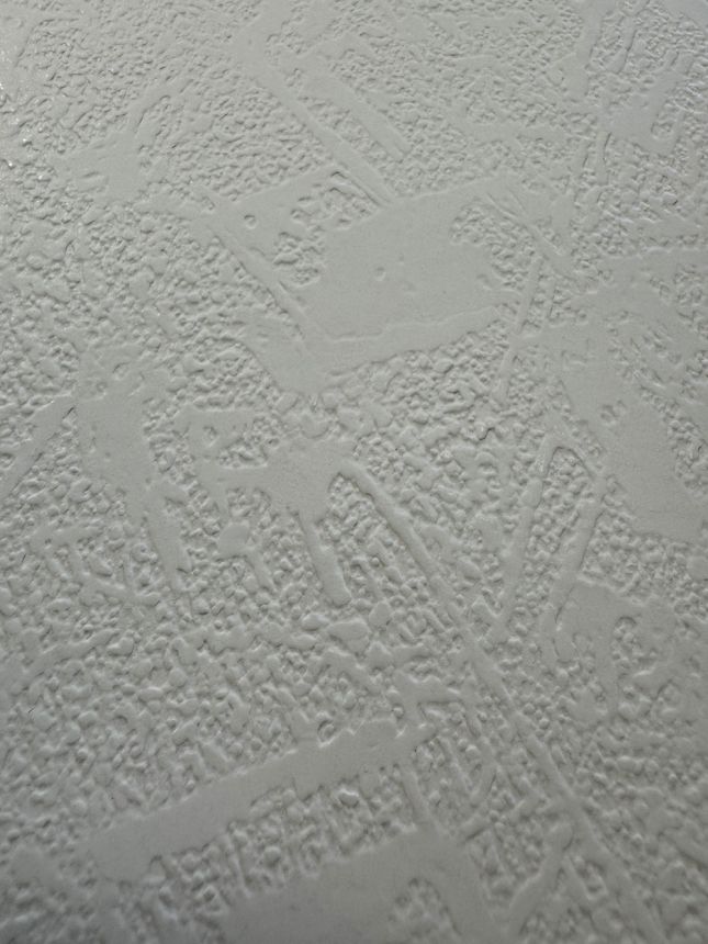 Papírová tapeta na zeď Imitace omítky 2001700 Old Friends II, Vavex 2025