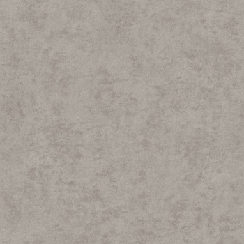 Strukturovaná vliesová tapeta na zeď šedá, AF24506, Affinity, Decoprint
