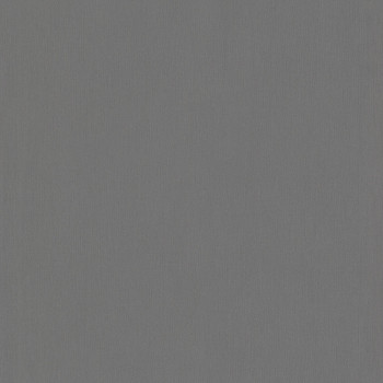 Jednobarevná tmavě šedá vliesová tapeta 220807, Doodleedo, BN Walls