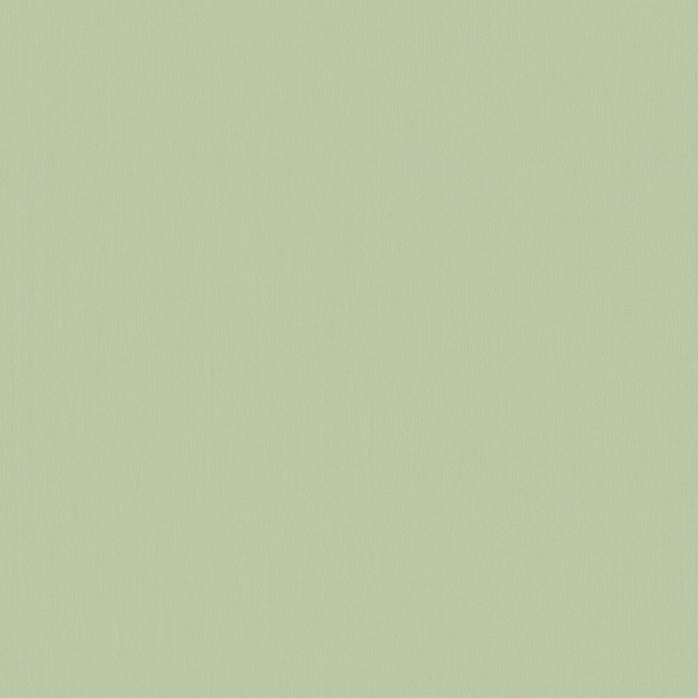 Jednobarevná zelená vliesová tapeta 220802, Doodleedo, BN Walls
