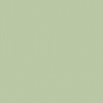 Jednobarevná zelená vliesová tapeta 220802, Doodleedo, BN Walls
