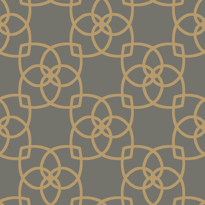 Luxusní hnědozlatá vliesová tapeta s ornamenty Y6200204, Dazzling Dimensions 2, York