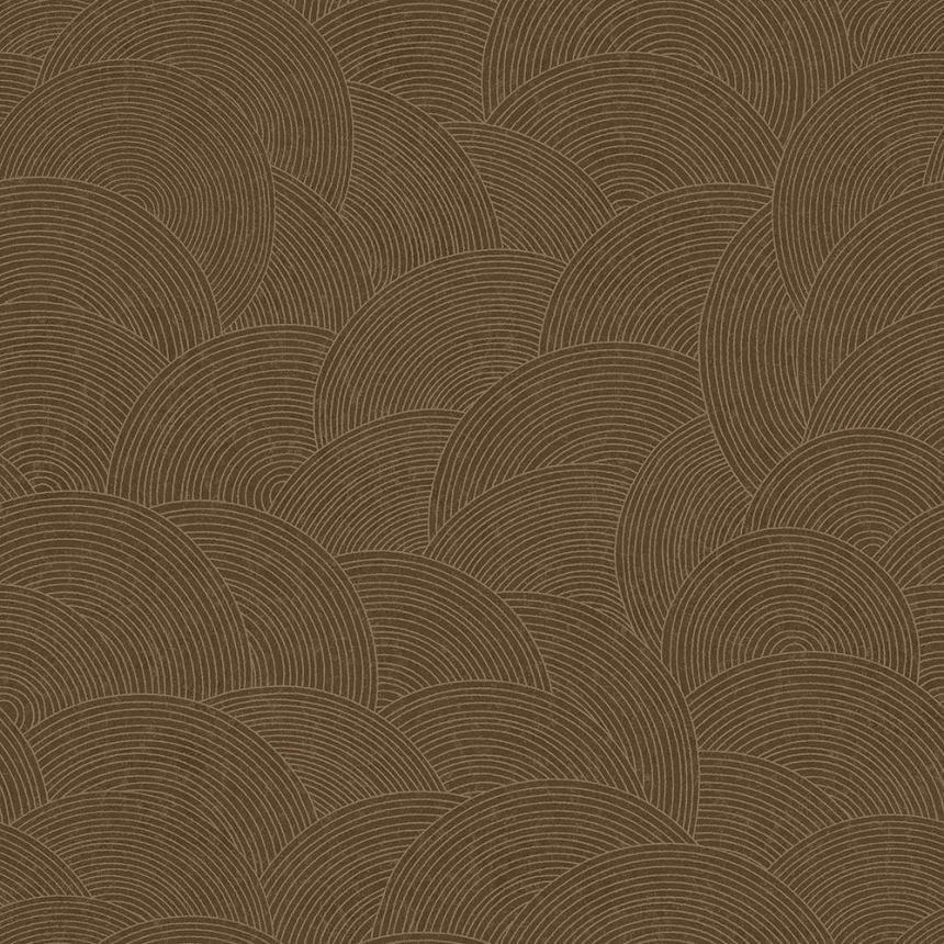 Luxusní hnědo-zlatá vliesová tapeta s obloučky WL220667, Wll-for 2, Vavex 