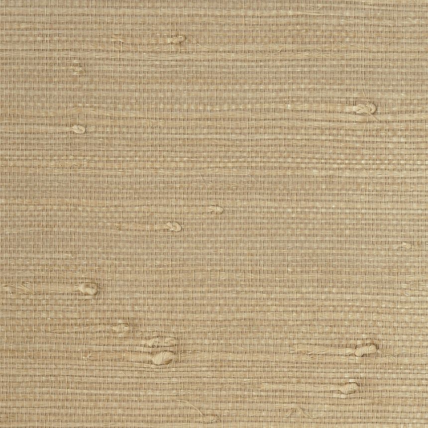 Luxusní přírodní tapeta 389521, Natural Wallcoverings II, Eijffinger