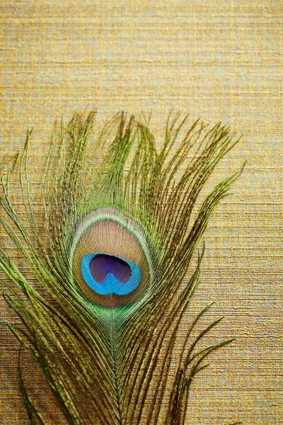 Růžová vliesová tapeta na zeď 358055, Masterpiece, Eijffinger