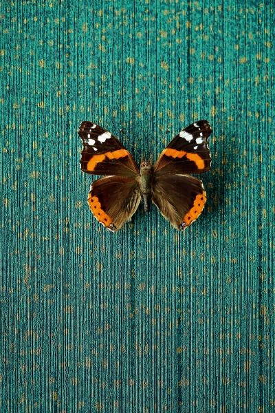 Modrá vliesová tapeta na zeď 358062, Masterpiece, Eijffinger