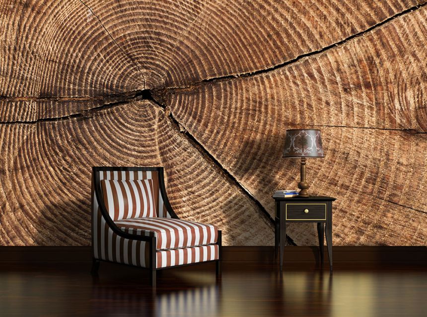 Obrázek - Jak jsme stavěli továrnu na tapety v Saudské Arábii